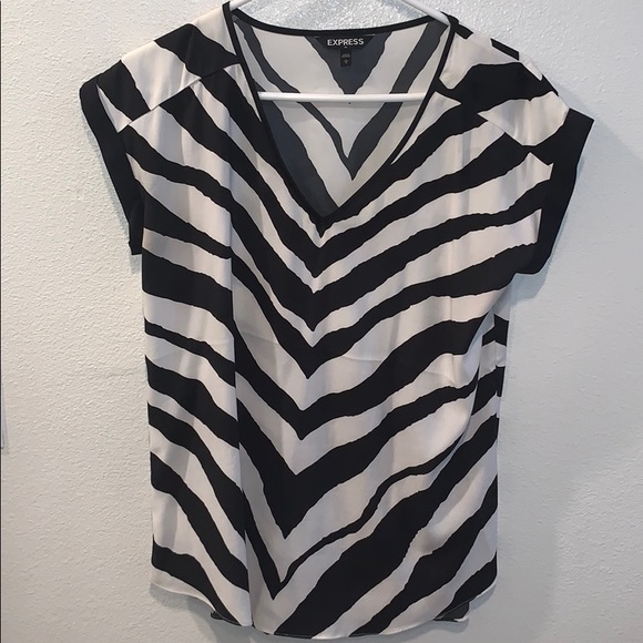 Express Zebra Stripe V Neck 